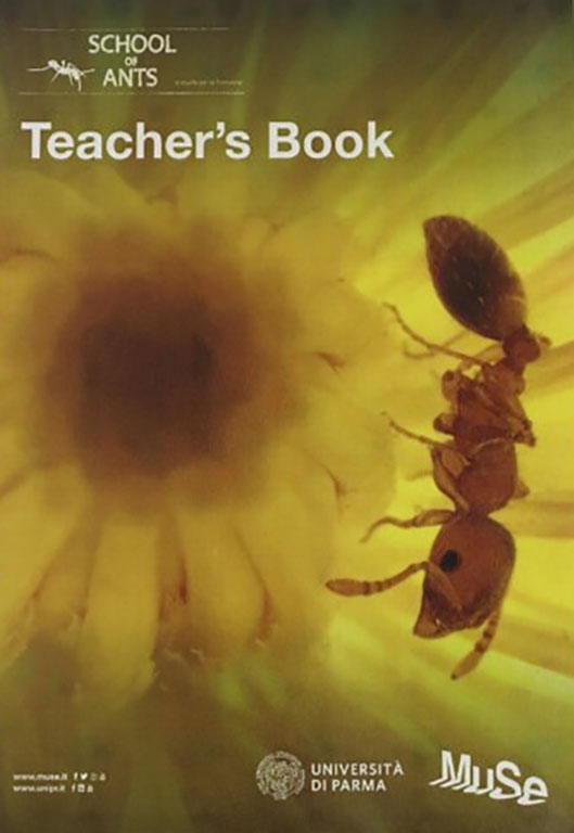 SOA - Teachers Book